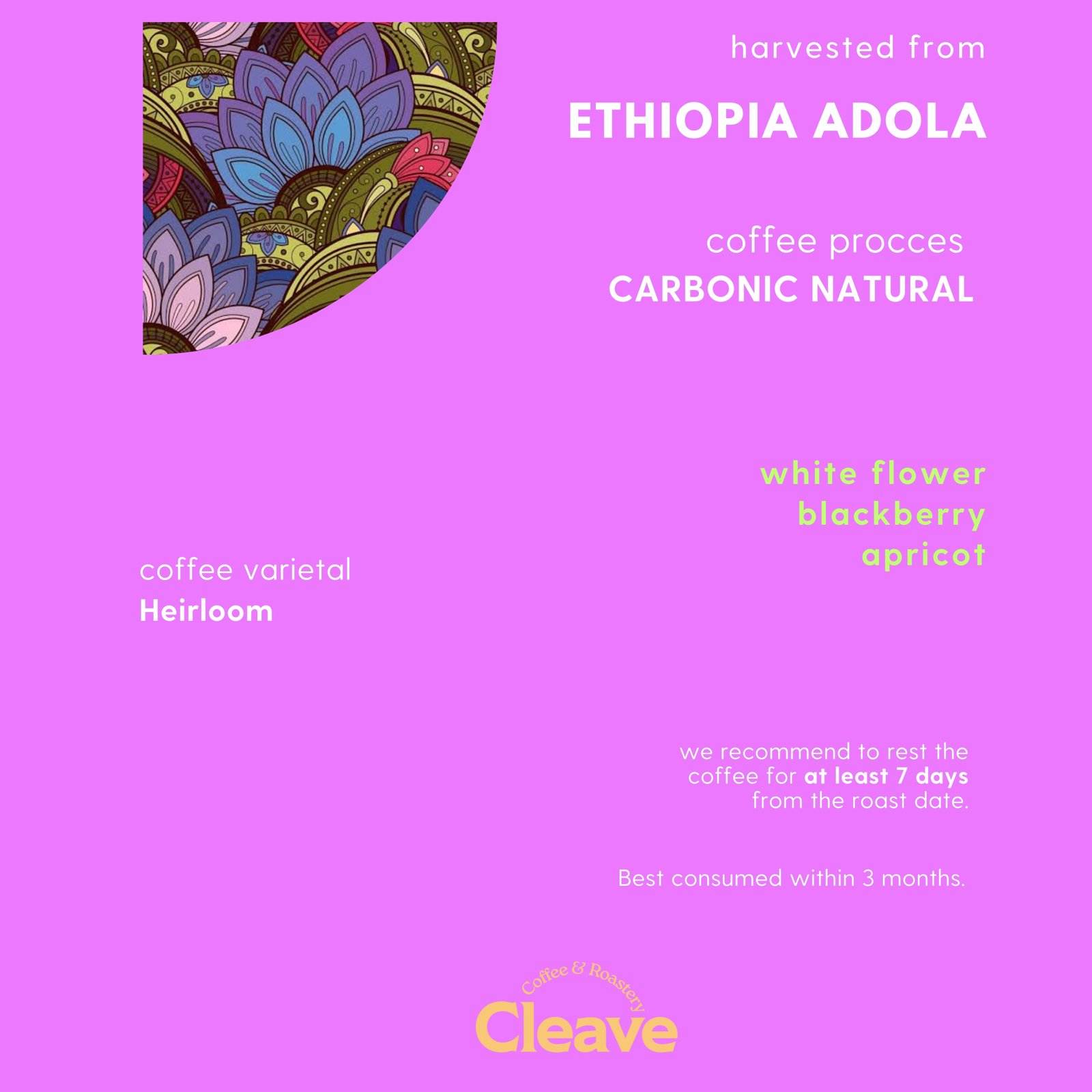 Ethiopia Adola
