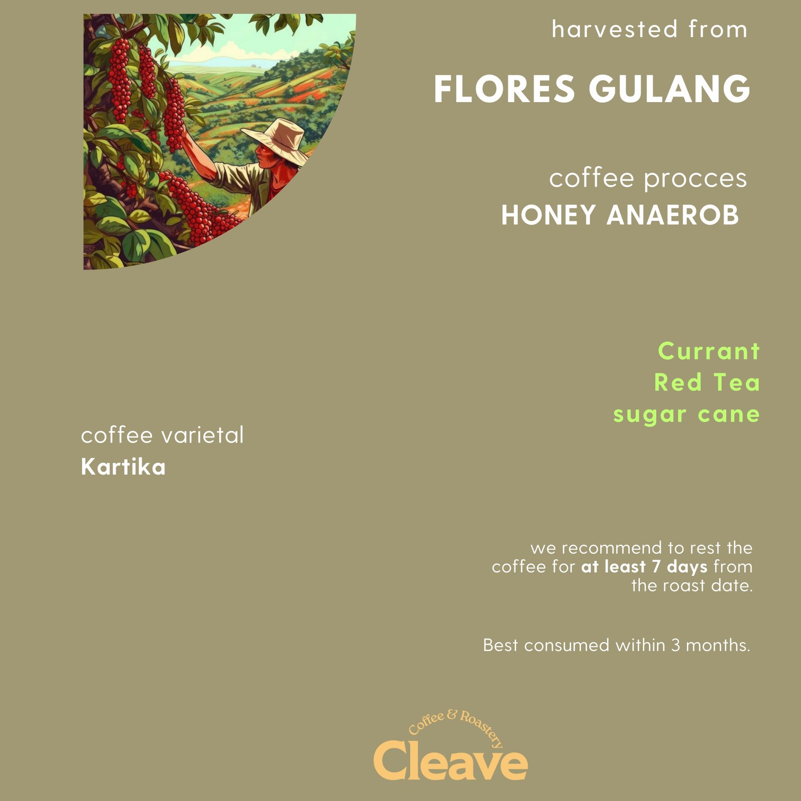 Flores Gulang