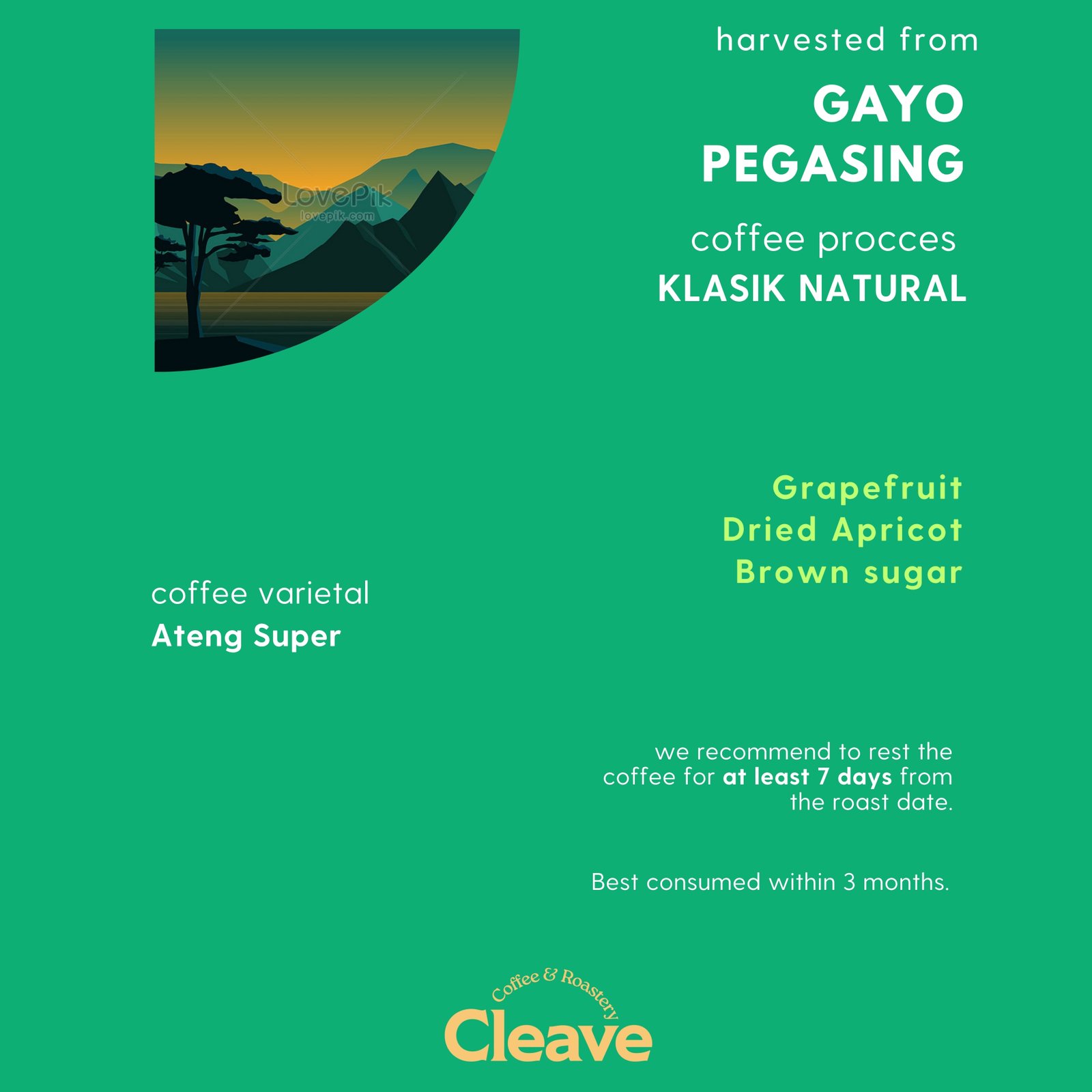 Gayo Pegasing